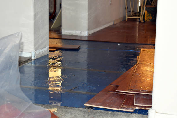 Professional Water Damage Restoration technician working in Weston, MA